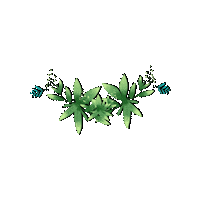 Christmas Flower Sticker