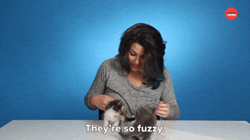 They're So Fuzzy