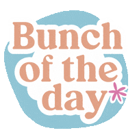 Bunch Of The Day Sticker by Poco Posy