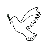 Peace Pray Sticker by katholisch.de