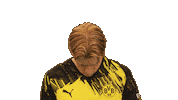 Look Up Borussia Dortmund Sticker by Bundesliga