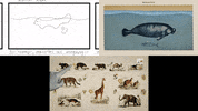 Great Big Story GIF by Marcie LaCerte