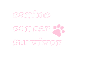 Pink Adopt Sticker by Prairie Paws Animal Shelter