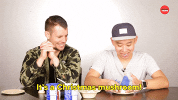 It's a Christmas Mushroom