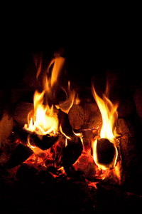 Bertysburger  GIF