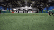 GIF by Hockey Training