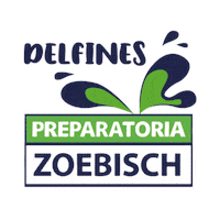 Preparatoria_Zoebisch preparatoria zoebisch zoebisch prepazoebisch escuela zoebisch Sticker