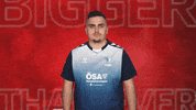 Vbl Cant Hear You GIF by Bundesliga