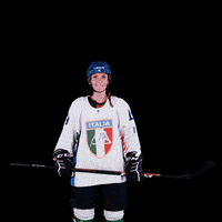 federazioneghiaccio hockey ice wintersport sportinvernali GIF