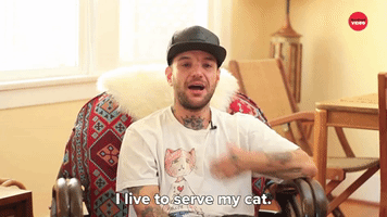 I Live To Serve My Cat