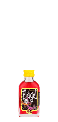 Dance Party Sticker by FLS Company Nederland N.V.