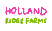 hollandridgefarms sunflower holland tulip tulips Sticker