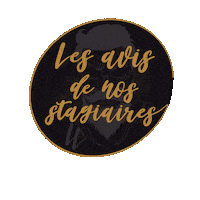 Avis Sticker by lalogeacademy