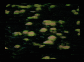 Dance Vintage GIF by Sony Music Australia
