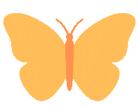 Fly Butterfly Sticker by Bel Diniz
