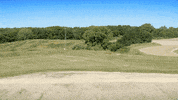 Remote Control Cat GIF by Caterpillar Inc.