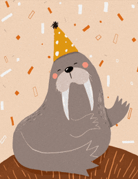 GIF by Black Math