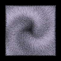 black and white loop GIF by roberthruska