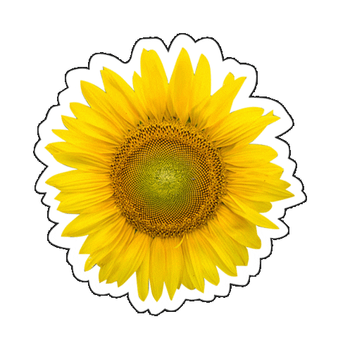 Summer Vintage Sticker by thankyounext.tyn