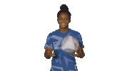 North Carolina Courage Sport Sticker by National Women's Soccer League