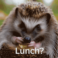 Hungry Snack GIF by SAP