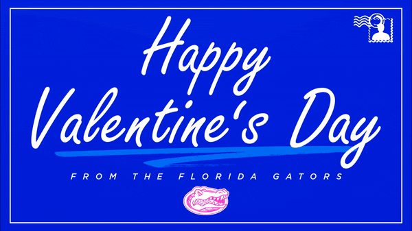 gatorvalentine GIF by Florida Gators