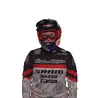 Uci Vali Höll Sticker by Red Bull