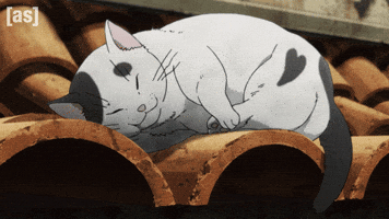 Cowboy Bebop Cat GIF by Adult Swim