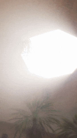 Collectibles Chowder GIF by Youtooz