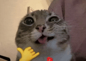Trending Troll GIF