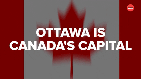 Canada Ottawa GIF by BuzzFeed