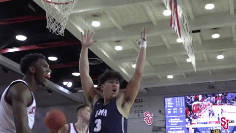 St Johns Sjubb GIF by St. John's Red Storm