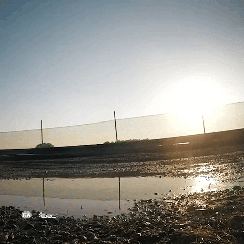 Car Sending GIF by FIA European Rally Championship