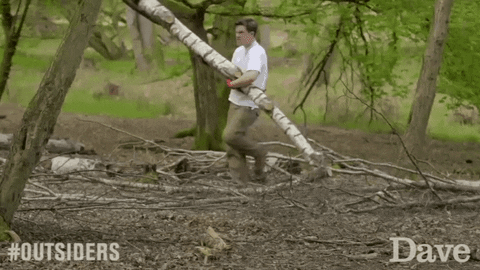 David Mitchell Outsiders GIF