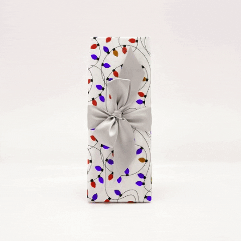 tbianchini giphygifmaker GIF