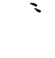 azzeredo marauder marauders map azzerêdo gustavo azzerêdo Sticker