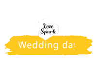 Boda Wedding Day Sticker by SparkVisuals