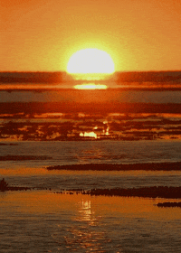 bbc sunset GIF by Head Like an Orange