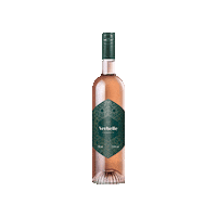 Aperol Spritz Aperitivo Sticker by Verbelle Vermouth