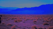 running GIF by Alexandra Savior