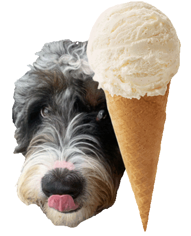 Ice Cream Food Sticker