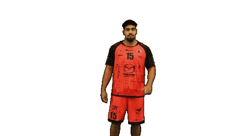Handball Dragon Sticker by HCCA