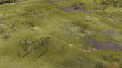 Expand Roman Empire GIF by Xbox