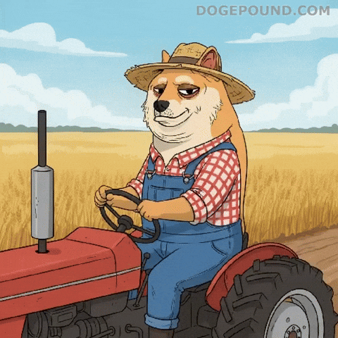 Shiba Inu Farm GIF by Doge Pound