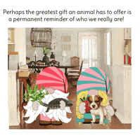 My Pet Gnome GIF