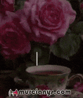 Amigos Saludos GIF by Murcianys LLC