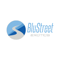 Exotic Car Sticker by BluStreet