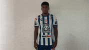 Tejuroqueteamo Elunicoenmicorazon GIF by Club Pachuca Tuzos