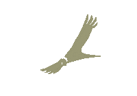 JourneyArg journey mates termos enjoythejourney Sticker