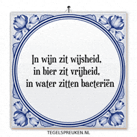 Humor Wijsheid GIF by Tegelspreuken.nl